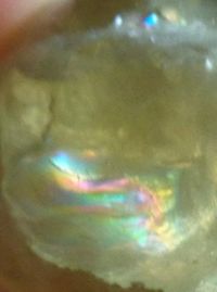 kleiner Citrin Kristallschädel 65 g Regenbögen