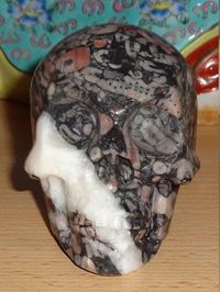 Crinoid Fossil Jaspis Kristallschädel 345 g