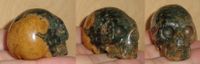 kleiner Ozean Jaspis Kristallschädel 45 g