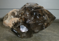 Elestial Kristallschädel energetisiert 1,05 kg