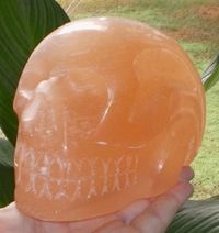 Selenit Kristallschädel orange 1,3 kg