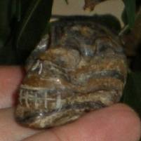 kleiner Stromatolith Kristallschädel