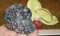 Pinolith Kristallschädel Helaria